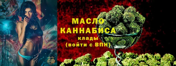Альфа ПВП Пересвет