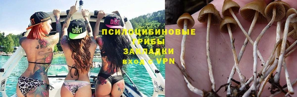 Альфа ПВП Пересвет