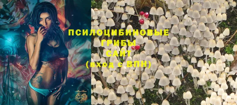 как найти закладки  Краснотурьинск  Галлюциногенные грибы MAGIC MUSHROOMS 