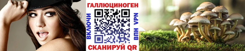 Галлюциногенные грибы мицелий  Краснотурьинск 