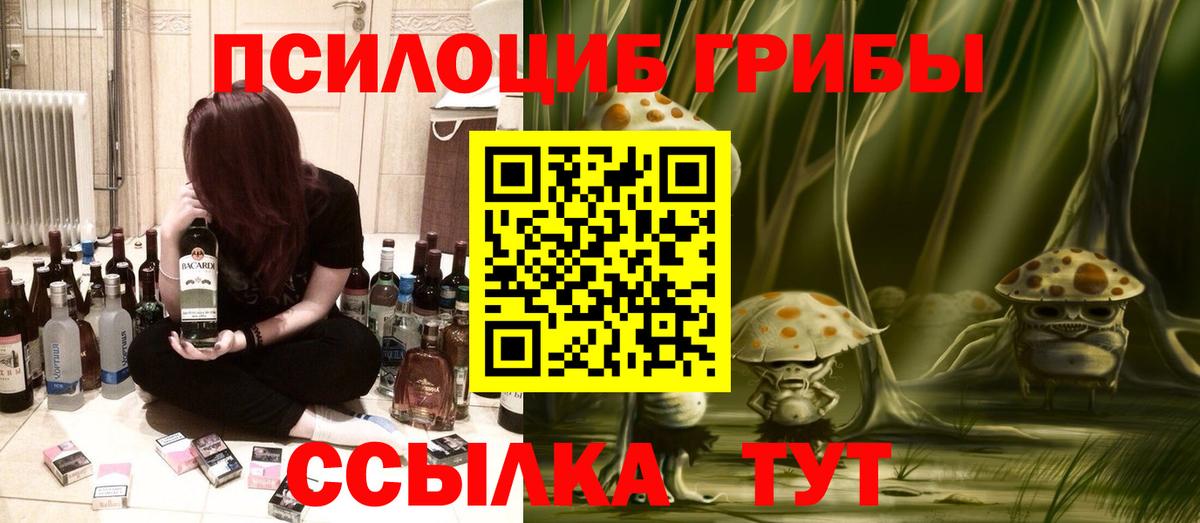 Псилоцибиновые грибы Psilocybe Краснотурьинск